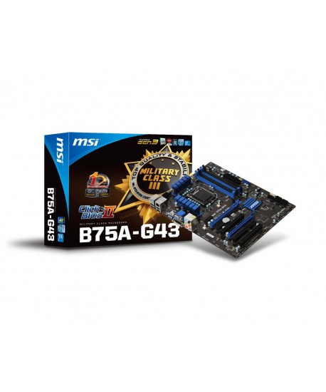 Main Board B75A-G43